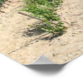 IMG_6159, La Rioja, Spanien Poster (Ecke)