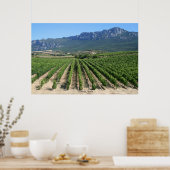 IMG_6159, La Rioja, Spanien Poster (Küche)