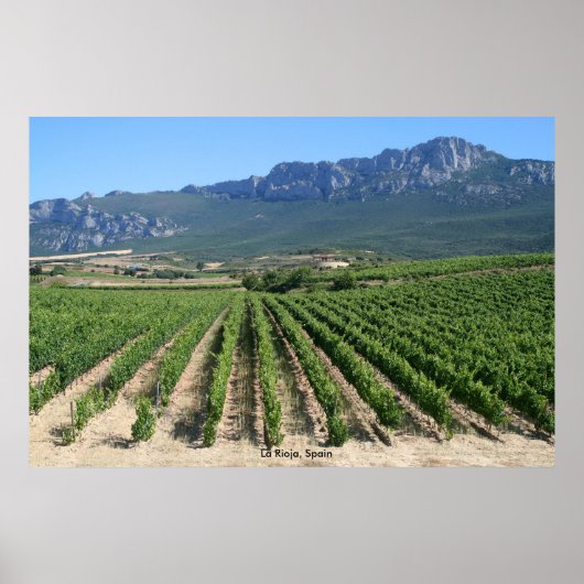 IMG_6159, La Rioja, Spanien Poster (Vorne)