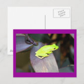 IMG_6159 POSTKARTE (Vorne/Hinten)