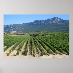 IMG_6159, Rioja, Spanien Poster