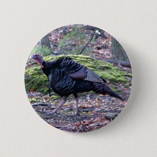 IMG_6278_edited Button (Vorderseite)