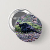 IMG_6278_edited Button (Vorne & Hinten)