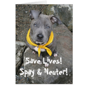IMG_6802, Rett Lives! Spay & Neuter!