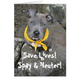 IMG_6802, Rett Lives! Spay & Neuter!