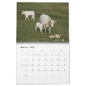 IMG_6979, I Liebe Kühe mit den prächtigen... Kalender (Feb 2027)