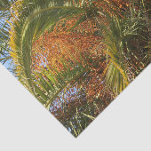 IMG_7080.JPGsommer, palme, blatt, tropisch, baum, Seidenpapier (Ausschnitt)