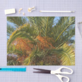 IMG_7080.JPGsommer, palme, blatt, tropisch, baum, Seidenpapier (Handwerk)