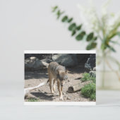 IMG_7805 POSTKARTE (Stehend Vorderseite)