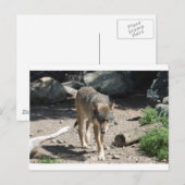 IMG_7805 POSTKARTE (Vorne/Hinten)