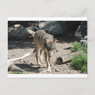 IMG_7805 POSTKARTE