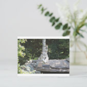 IMG_7954 POSTKARTE (Stehend Vorderseite)