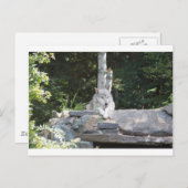 IMG_7954 POSTKARTE (Vorne/Hinten)