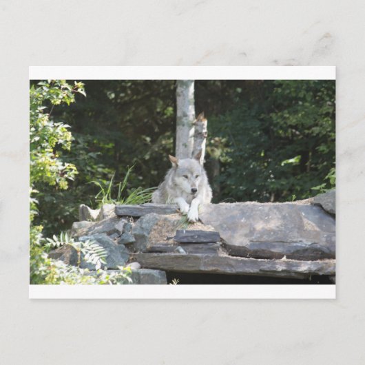 IMG_7954 POSTKARTE (Vorderseite)