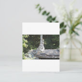 IMG_7954 POSTKARTE (Stehend Vorderseite)