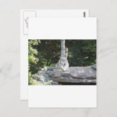 IMG_7954 POSTKARTE (Vorne/Hinten)