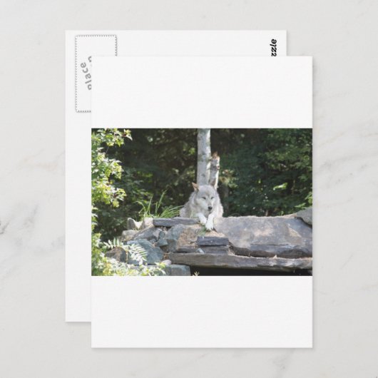 IMG_7954 POSTKARTE (Vorne/Hinten)