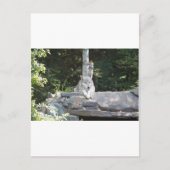 IMG_7954 POSTKARTE (Vorderseite)