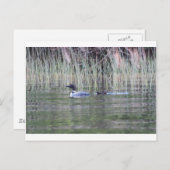 IMG_8448_1 POSTKARTE (Vorne/Hinten)