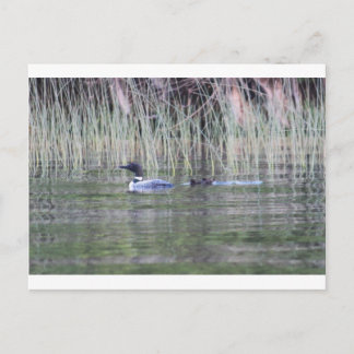 IMG_8448_1 POSTKARTE