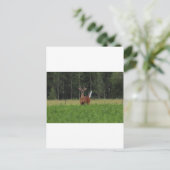 IMG_9486 POSTKARTE (Stehend Vorderseite)