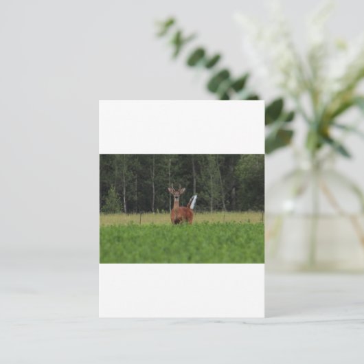 IMG_9486 POSTKARTE (Stehend Vorderseite)