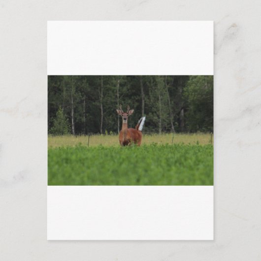 IMG_9486 POSTKARTE (Vorderseite)