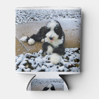 IMG_9916 DOSENKÜHLER