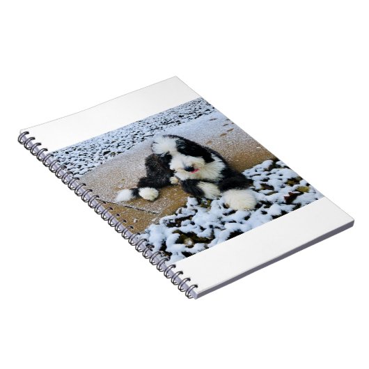 IMG_9916 NOTIZBLOCK (Rechte Seite)