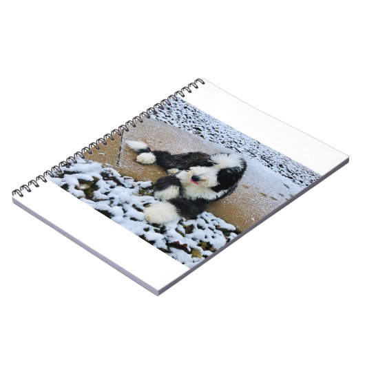 IMG_9916 NOTIZBLOCK (Linke Seite)