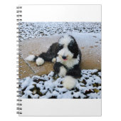 IMG_9916 NOTIZBLOCK (Vorderseite)