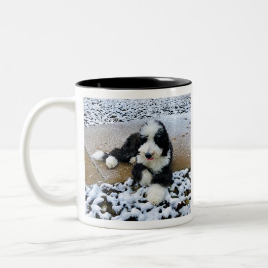 IMG_9916 ZWEIFARBIGE TASSE (Links)