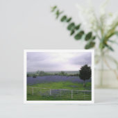 IMGP4300 POSTKARTE (Stehend Vorderseite)