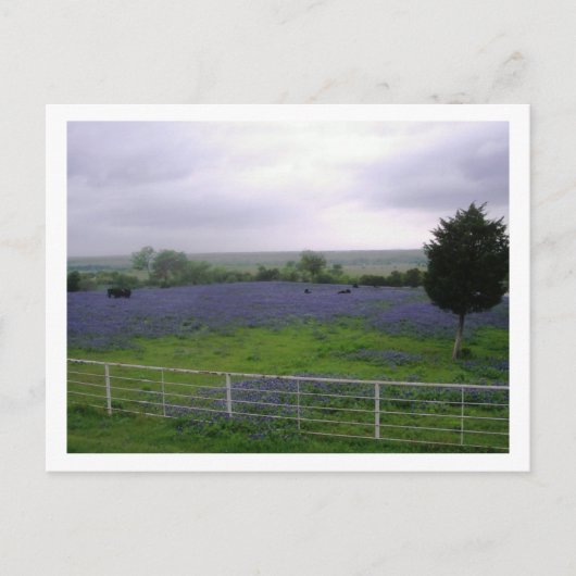 IMGP4300 POSTKARTE (Vorderseite)