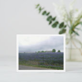 IMGP4303 POSTKARTE (Stehend Vorderseite)