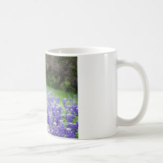 IMGP4308 KAFFEETASSE