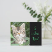 IMissYou! Kitten Postkarte (Stehend Vorderseite)