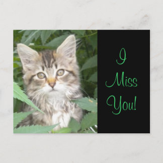 IMissYou! Kitten Postkarte