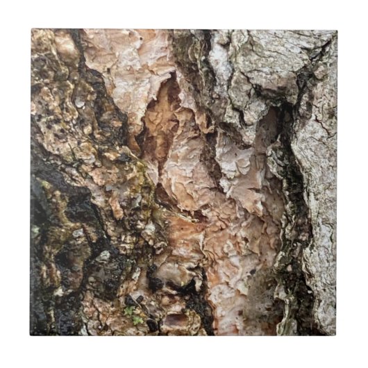 Imitat Baumbestand Fliese (Vorderseite)