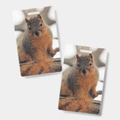 Imitat possum ausweis (Vorder- & Rückseite)