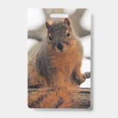 Imitat possum ausweis (Rückseite)