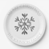 Imitat-silbernes Pappteller (Vorderseite)