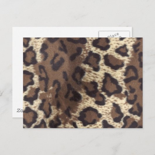 IMITATE 1 POSTKARTE (Vorne/Hinten)