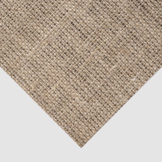 Imitate begraben Leinwand Textur Seidenpapier (Ausschnitt)