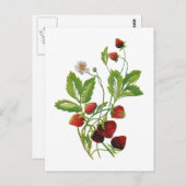 Imitate bestickt Frische Erdbeeren Postkarte (Vorne/Hinten)