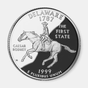 Imitate Delaware Staat Quarter Magnet