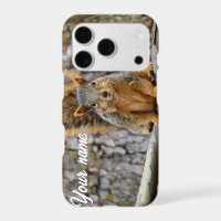 Imitate-Fuchs-Eichhörnchen