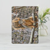 Imitate-Fuchs-Eichhörnchen Einladung (Stehend Vorderseite)