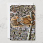 Imitate-Fuchs-Eichhörnchen Einladung (Vorderseite)