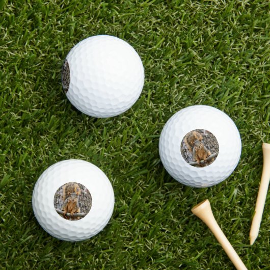 Imitate-Fuchs-Eichhörnchen Golfball (Insitu Gras)
